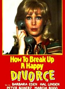 How to Break Up a Happy Divorce (1976)